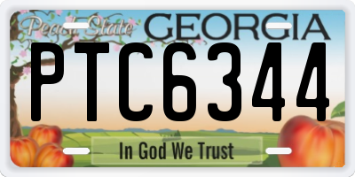 GA license plate PTC6344