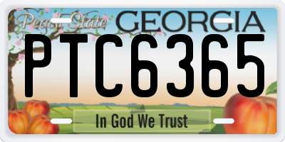 GA license plate PTC6365