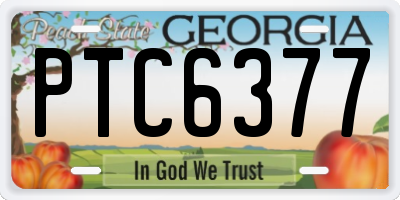 GA license plate PTC6377