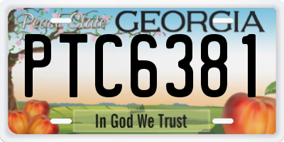 GA license plate PTC6381