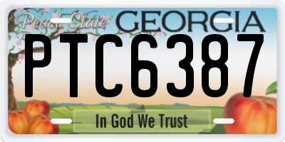 GA license plate PTC6387