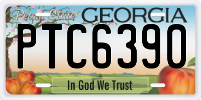 GA license plate PTC6390