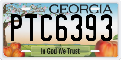 GA license plate PTC6393