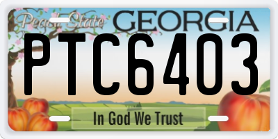 GA license plate PTC6403