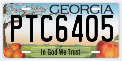 GA license plate PTC6405