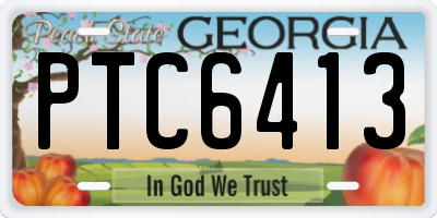GA license plate PTC6413