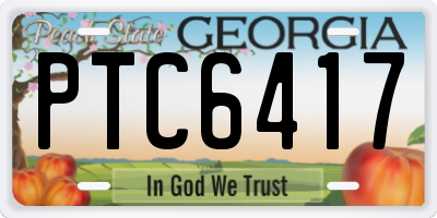 GA license plate PTC6417