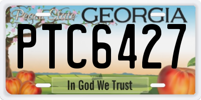 GA license plate PTC6427