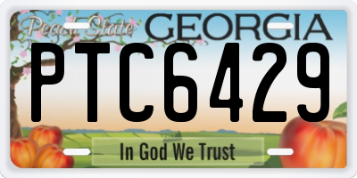 GA license plate PTC6429
