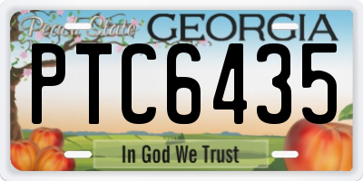 GA license plate PTC6435