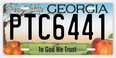 GA license plate PTC6441