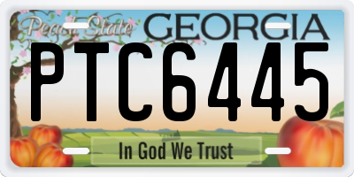 GA license plate PTC6445