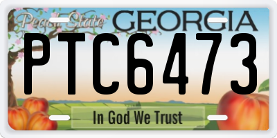GA license plate PTC6473