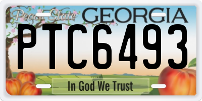 GA license plate PTC6493