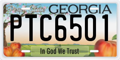 GA license plate PTC6501