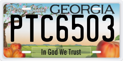 GA license plate PTC6503
