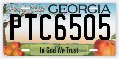 GA license plate PTC6505