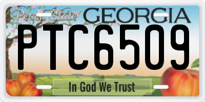 GA license plate PTC6509