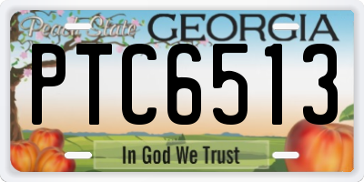 GA license plate PTC6513