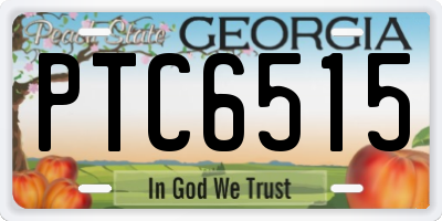 GA license plate PTC6515