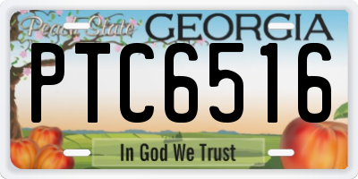 GA license plate PTC6516