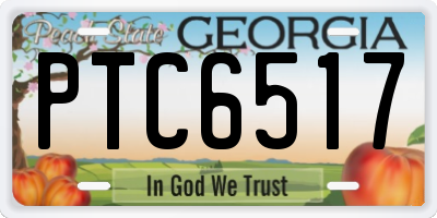 GA license plate PTC6517