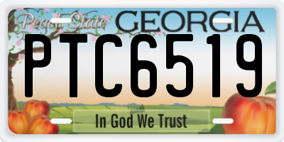 GA license plate PTC6519