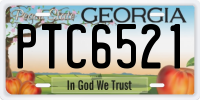 GA license plate PTC6521