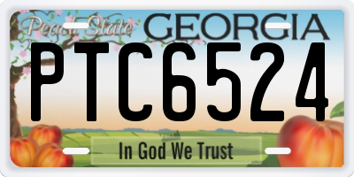 GA license plate PTC6524