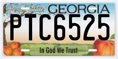 GA license plate PTC6525