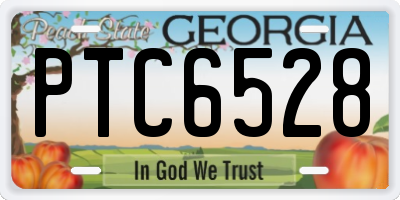 GA license plate PTC6528