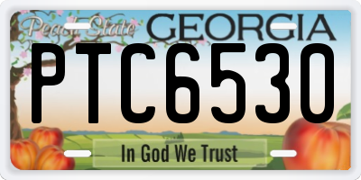 GA license plate PTC6530