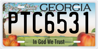 GA license plate PTC6531