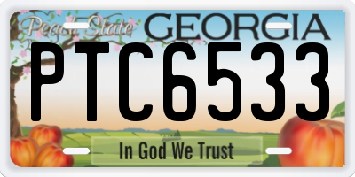GA license plate PTC6533