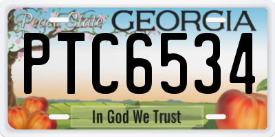 GA license plate PTC6534