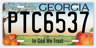 GA license plate PTC6537