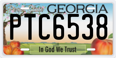 GA license plate PTC6538