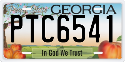 GA license plate PTC6541