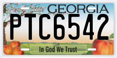 GA license plate PTC6542