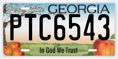 GA license plate PTC6543