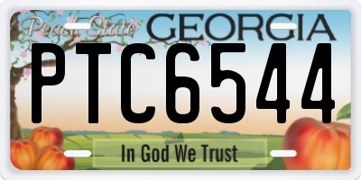 GA license plate PTC6544