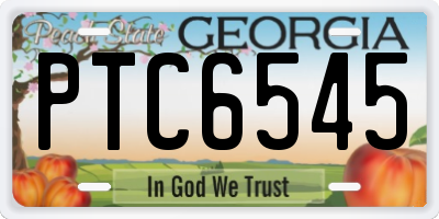 GA license plate PTC6545