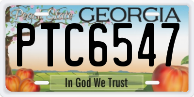 GA license plate PTC6547