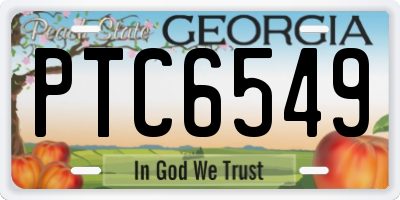 GA license plate PTC6549