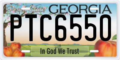 GA license plate PTC6550