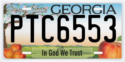 GA license plate PTC6553