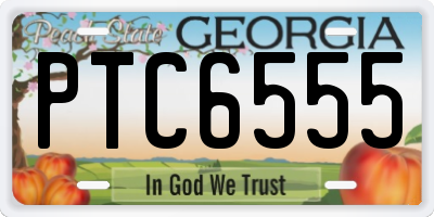 GA license plate PTC6555