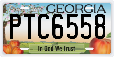 GA license plate PTC6558