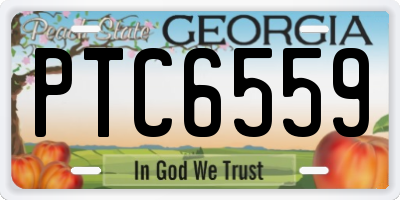 GA license plate PTC6559