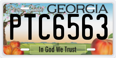 GA license plate PTC6563